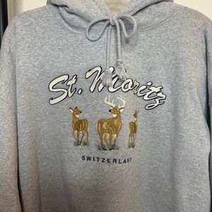 NWT Brandy Melville Hoodie